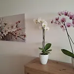 アパート Mit Bergkulisse Gallzein