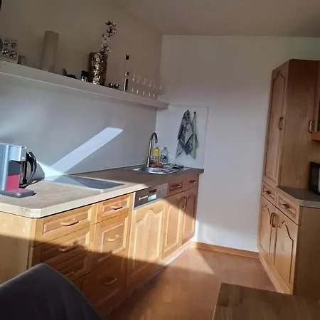 Mit Bergkulisse Apartment Gallzein