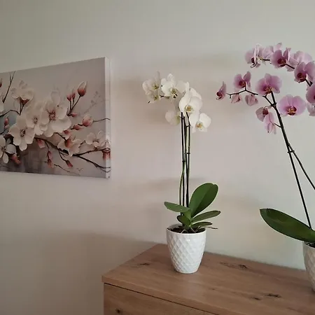 Apartment Mit Bergkulisse Gallzein