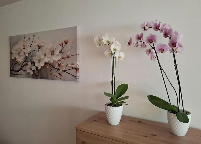 Apartment Mit Bergkulisse Gallzein